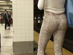Hot front and back in animal pattern leggings Picture 1