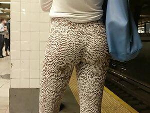 Hot front and back in animal pattern leggings Picture 4