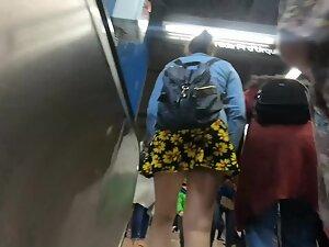 Upskirt shows a leopard in flowers Picture 6