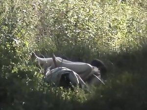Horny guy fucks her like a rabbit in the grass Picture 4