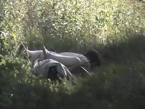 Horny guy fucks her like a rabbit in the grass Picture 8