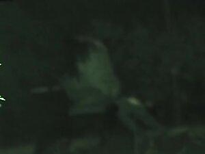Dick riding at night in the park is caught by voyeur Picture 6