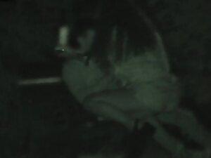 Dick riding at night in the park is caught by voyeur Picture 7