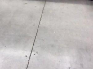 Fuckable muscular girl spotted in supermarket Picture 4