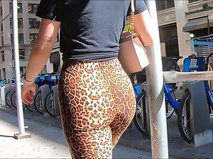 Wiggly ass in tight jaguar shorts Picture 5