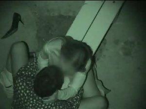 Couple fucking on a park bench Picture 4