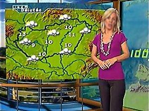 Hot cameltoe on a weather girl Picture 1