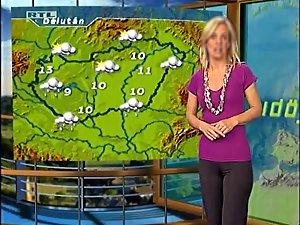 Hot cameltoe on a weather girl Picture 3