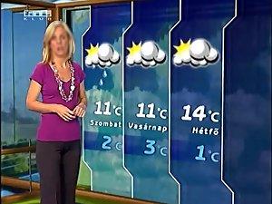 Hot cameltoe on a weather girl Picture 8