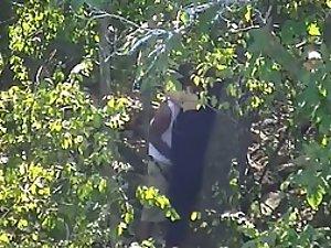 Voyeur crawled in to see some fingering