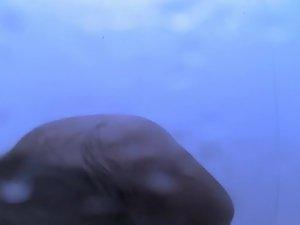 Tan lines form her bikini getting spied Picture 7