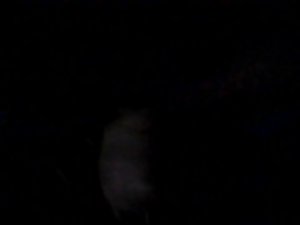 Lots of pubes and hot sex in a dark room Picture 6