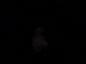 Lots of pubes and hot sex in a dark room Picture 7