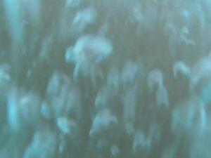 Underwater video of hairy ass crack in bikini Picture 6