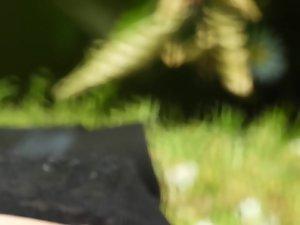 Smooth pussy peeking through holes in panties Picture 3