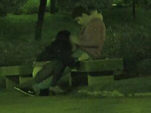 Voyeur caught a blowjob at night in the park Picture 4