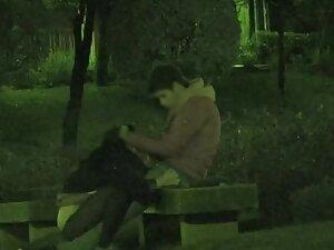 Voyeur caught a blowjob at night in the park Picture 5