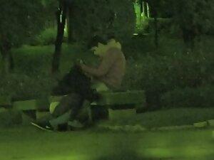 Voyeur caught a blowjob at night in the park Picture 6