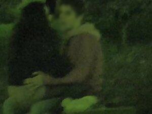 Voyeur caught a blowjob at night in the park Picture 7
