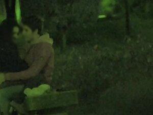 Voyeur caught a blowjob at night in the park Picture 8
