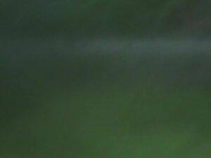 Kissing and pussy fingering is zoomed in by a voyeur Picture 1