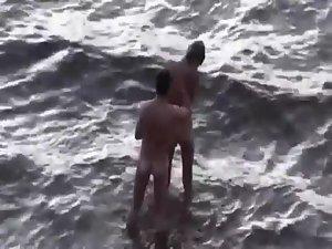 Wild plowing fully spied on a beach Picture 6