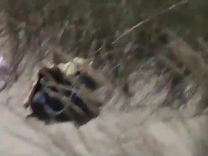 Voyeur caught a tourist couple's fuck Picture 4