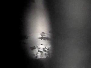 Bookworm girl caught rubbing her pussy Picture 8