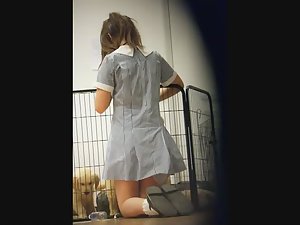 Schoolgirl's upskirt while petting dogs Picture 1