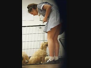 Schoolgirl's upskirt while petting dogs Picture 6