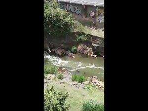 Sex in the river caught from a tall nearby building Picture 3