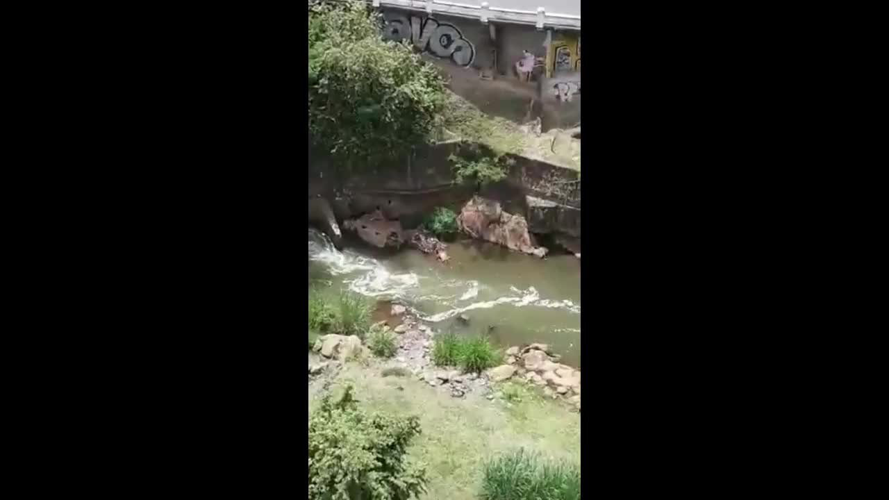 Sex in the river caught from a tall nearby building