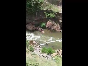 Sex in the river caught from a tall nearby building Picture 4