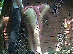 Quick sex caught next to a fence Picture 2