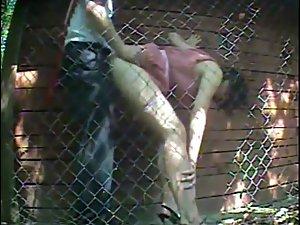 Quick sex caught next to a fence Picture 3