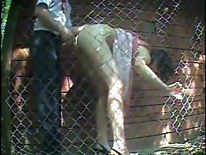 Quick sex caught next to a fence Picture 5