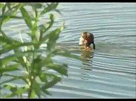 Teen girl spied as she swims in a lake Picture 5