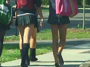 Schoolgirls in sexy short skirts Picture 2