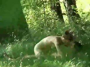 Cool couple spied fucking in the nature Picture 6