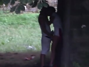 Dry humping and wanking caught in park