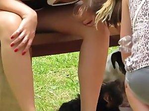 Girls watching dogs play around them