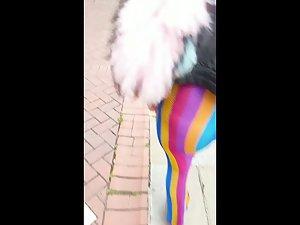 Voyeur follows a big butt in rainbow pants Picture 6