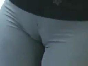 Cameltoe caught in the office Picture 4