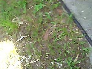Upskirt of neighbor trimming the bushes Picture 1