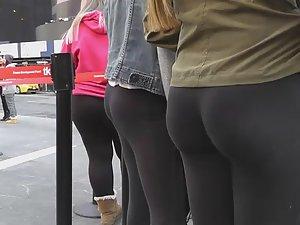 So many asses and so little time Picture 1