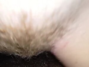 Curly girl with nose piercing gives wild blowjob and dick ride Picture 4