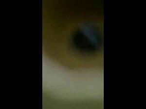 Trimmed curly pubes peeped in pool cabin Picture 7