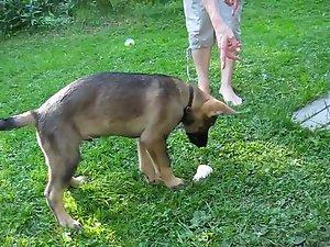 Mom's tits spied without her knowing it Picture 5