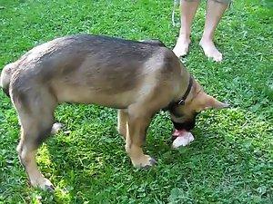 Mom's tits spied without her knowing it Picture 6