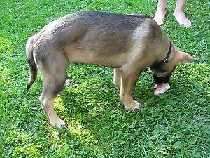 Mom's tits spied without her knowing it Picture 7